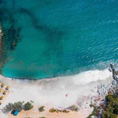 Petriaí Aegean Beachfront מראה חיצוני תמונה