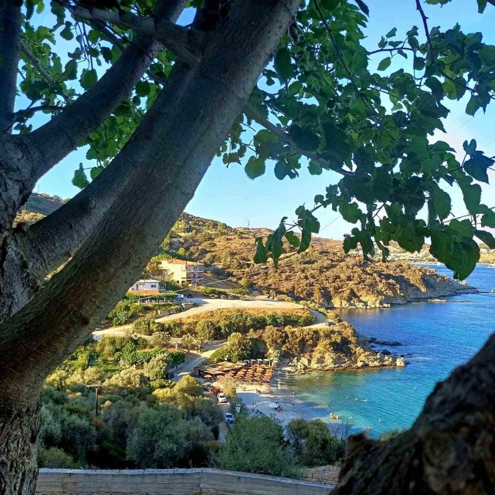 Petriaí Aegean Beachfront מראה חיצוני תמונה